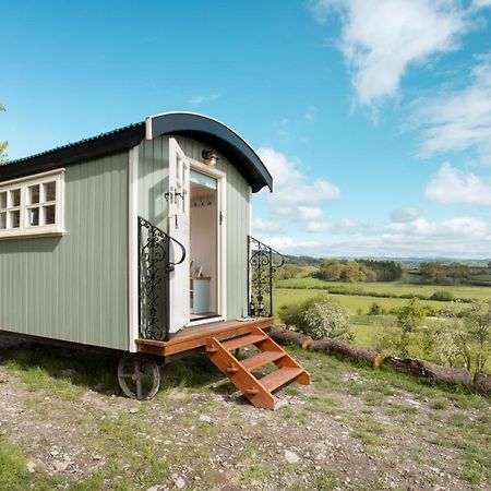 The Heron Shepherds Hut At Lyth Valley Brigsteer Экстерьер фото